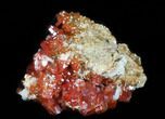 Red Vanadinite Crystal Cluster - Morocco #36982-1